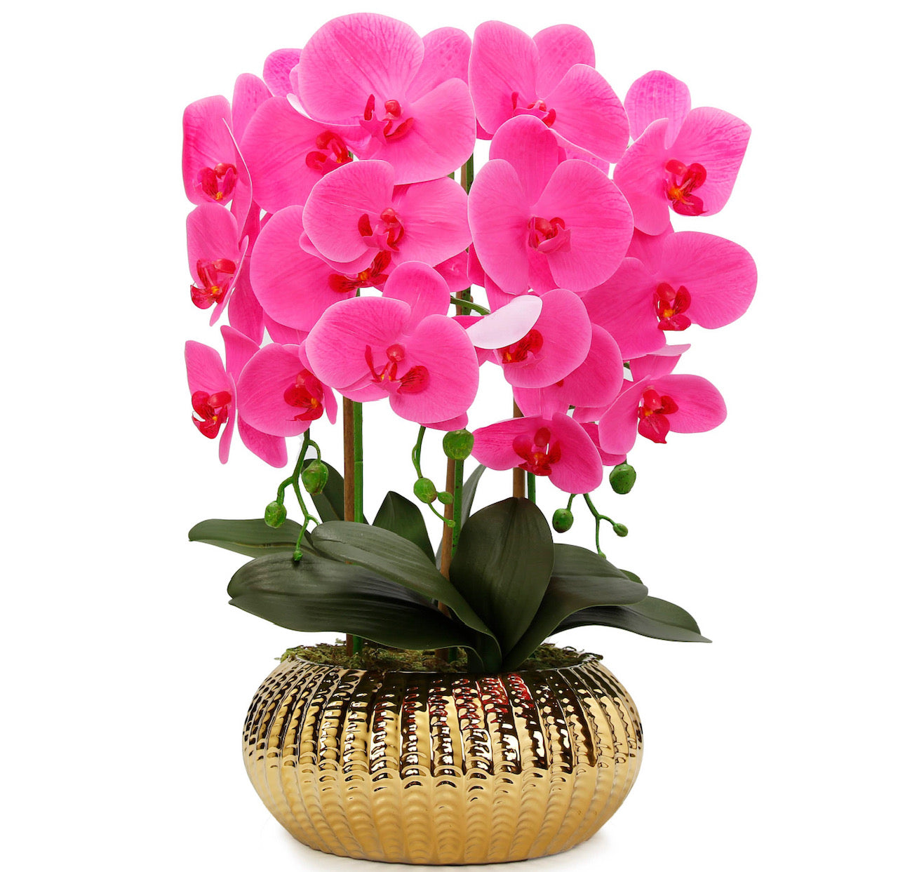 Pink Orchid Plant In Gold Pot (3 variations)