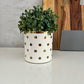 Gold and White Ceramic Planters